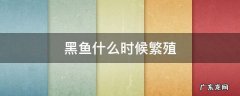 黑鱼什么时候繁殖 黑鱼在什么时候产卵繁殖季节