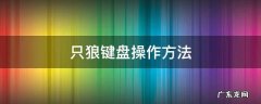 只狼键盘基本操作 只狼键盘操作方法