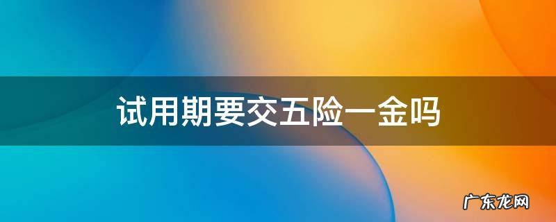 试用期要交五险一金吗 试用期要交五险一金吗?