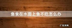 鱼食浮在水面鱼不吃怎么办 鱼食在水面上鱼不吃怎么办