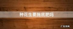 种花生要施底肥吗 种花生需要什么肥料做底肥