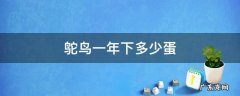 鸵鸟一年下多少蛋 鸵鸟第一年能产多少蛋