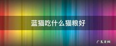 蓝猫吃什么猫粮好 英短蓝猫吃什么猫粮好
