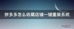 拼多多怎样收藏店铺? 拼多多怎么收藏店铺一键重装系统