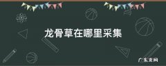 龙骨草在哪里采集东山 龙骨草在哪里采集