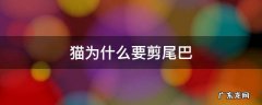 猫为什么要剪尾巴 猫为啥要剪尾巴