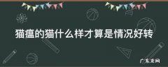 猫瘟的猫什么样才算是情况好转 猫瘟什么状态