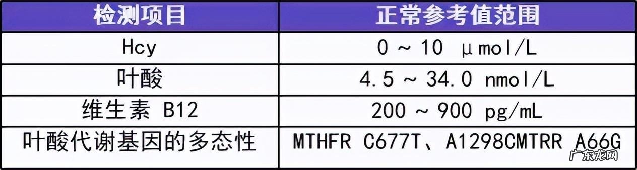高同型半胱氨酸血症有何危害?如何诊治?一文读懂