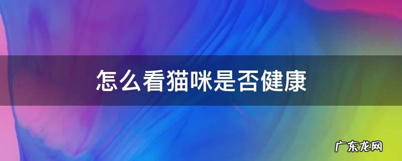 怎么看猫咪是否健康 怎么看宠物猫是否健康