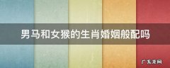 男属马和女属猴的生肖婚姻般配吗 男马和女猴的生肖婚姻般配吗