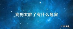 狗肥胖会导致什么 狗狗太胖了有什么危害