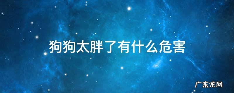 狗肥胖会导致什么 狗狗太胖了有什么危害