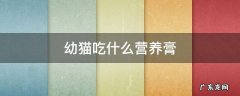 幼猫适合吃什么营养膏 幼猫吃什么营养膏