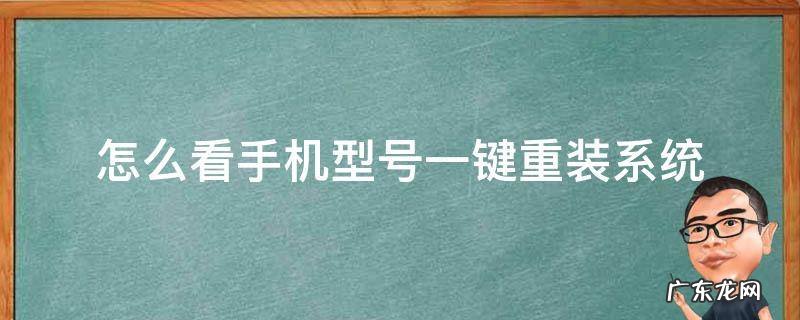 怎么看手机型号一键重装系统