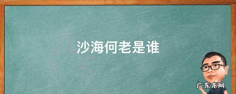 沙海中何老是谁的后代 沙海何老是谁