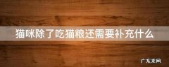 猫除了吃猫粮还需要补充其它营养吗 猫咪除了吃猫粮还需要补充什么