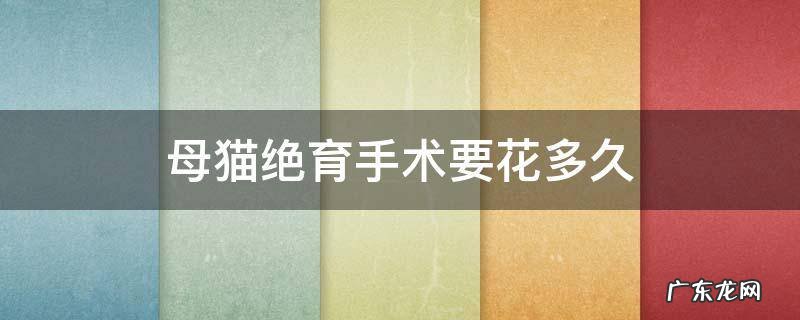 母猫绝育手术要花多久 母猫绝育手术时间需要多久