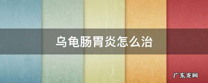 乌龟肠胃炎怎么治疗 乌龟肠胃炎怎么治