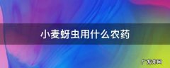 小麦蚜虫用什么农药特效 小麦蚜虫用什么农药