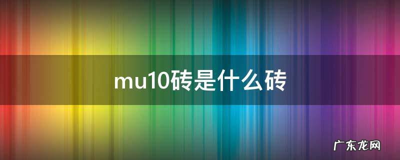 mu10砖是什么砖尺寸 mu10砖是什么砖