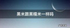黑米跟黑糯米一样吗 黑米跟黑糯米一样吗图片
