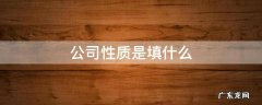 公司性质是什么意思怎么填 公司性质是填什么
