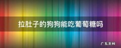拉肚子的狗狗能吃葡萄糖吗 狗狗拉肚子可以吃葡萄糖吗