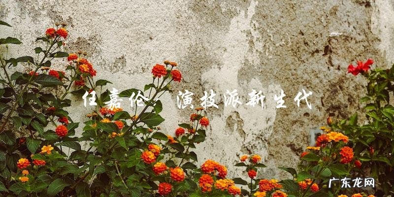 央视点名表扬,这位演员的剧集成绩惊人!
