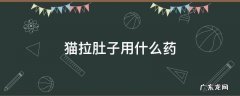 猫拉肚子用什么药好 猫拉肚子用什么药