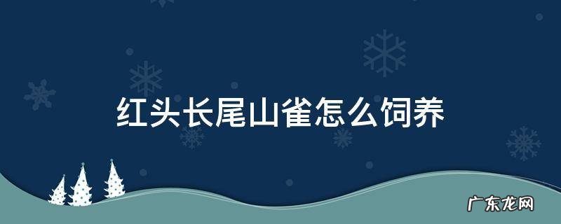 红头长尾山雀怎么饲养 红头长尾山雀筑巢繁殖