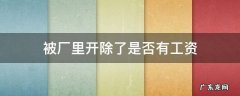 被厂里开除了是否有工资 被厂里面开除有工资吗