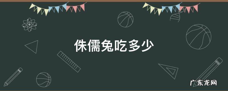侏儒兔吃多少 侏儒兔吃多少会撑死