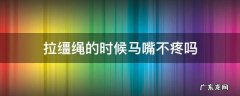 拽缰绳马会疼吗 拉缰绳的时候马嘴不疼吗