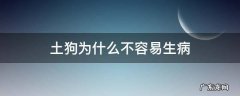 土狗为什么不容易生病 土狗为啥不容易生病