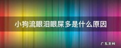 小狗流眼泪有眼屎是怎么个情况 小狗流眼泪眼屎多是什么原因