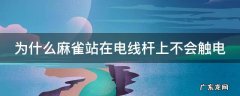 为什么麻雀站在电线杆上不会触电 麻雀为什么站在电线杆上不会被电死