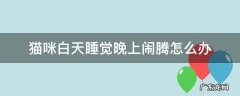猫总是白天睡晚上闹 猫咪白天睡觉晚上闹腾怎么办