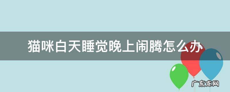 猫总是白天睡晚上闹 猫咪白天睡觉晚上闹腾怎么办
