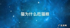 猫为什么吃猫粮不吃饭 猫为什么吃猫粮