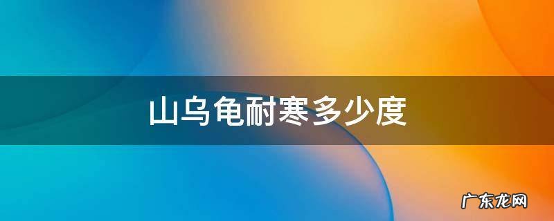 山乌龟耐寒多少度 山乌龟适应的温度