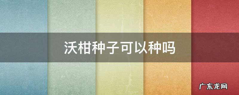 沃柑种子可以种吗 沃柑种子可以种吗长出来结沃柑吗