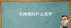 长辣椒叫什么名字 长辣椒叫什么名字数字名
