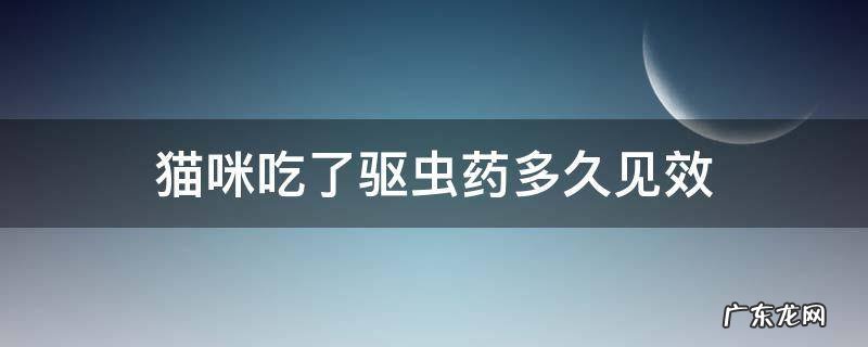 猫咪吃了驱虫药多久见效 猫咪吃了驱虫药后多久见效