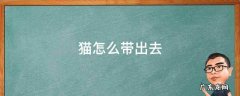 猫怎么带出去 猫怎么带出去溜达