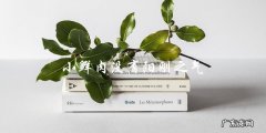 小鲜肉缺失阳刚之气，会不会影响他们的未来？