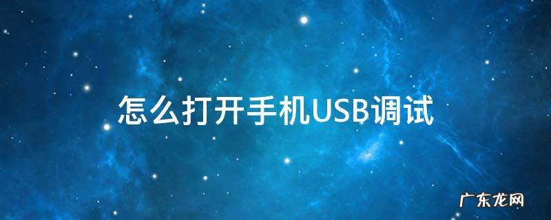 怎么打开手机usb调试功能 怎么打开手机USB调试