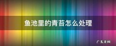 鱼池里的青苔怎么处理 鱼池里长青苔怎么处理