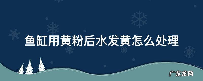 鱼缸放黄粉以后水黄怎么办 鱼缸用黄粉后水发黄怎么处理