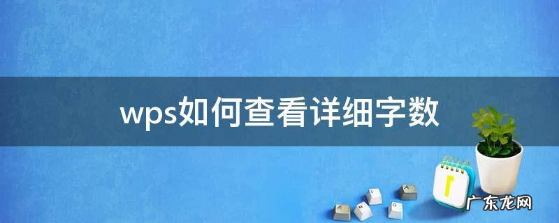 wps如何查看详细字数 wps如何查看多少字数