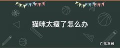 猫咪很瘦怎么办 猫咪太瘦了怎么办